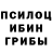 Псилоцибиновые грибы мухоморы Alex Horsh