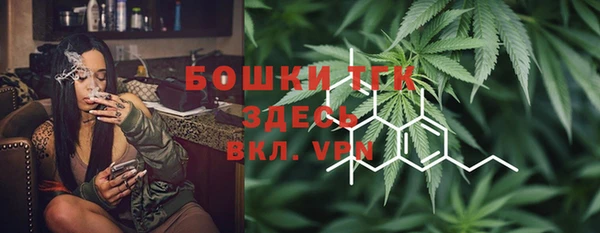 амф Гусиноозёрск