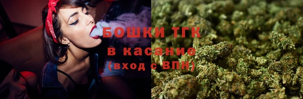 ешки Гусь-Хрустальный