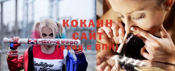 амф Гусиноозёрск