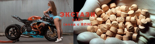 амф Гусиноозёрск