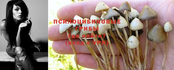 ешки Гусь-Хрустальный