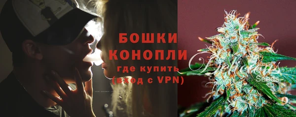 амф Гусиноозёрск