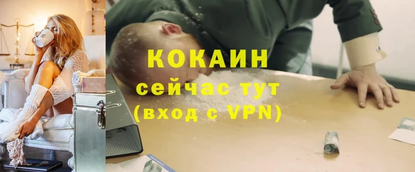ешки Гусь-Хрустальный