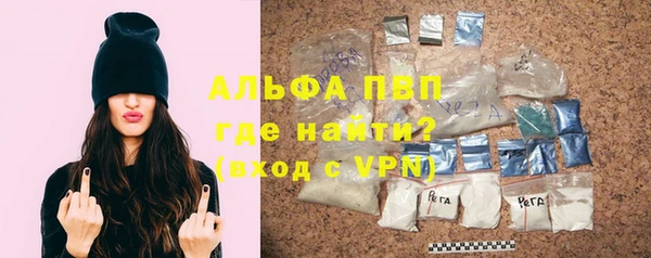 амф Гусиноозёрск