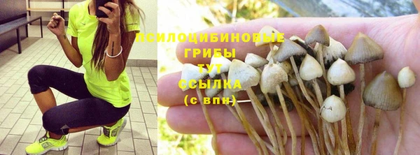 амф Гусиноозёрск
