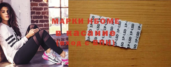амф Гусиноозёрск