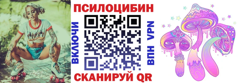 Галлюциногенные грибы Psilocybine cubensis  Усть-Илимск 